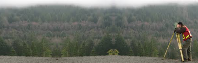 survey_landscape3.png